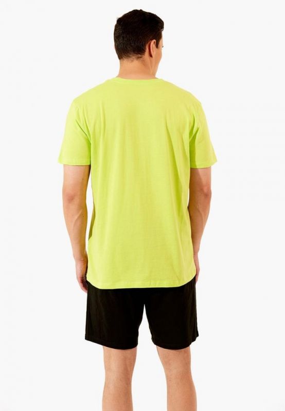 Set male (shorts + t-shirt (sweatshirt) Tamir_1 green